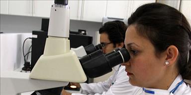 Deri hücreleri de bağışıklığı koruyacak