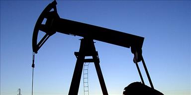 Petrolün fiyatı en yüksek seviyede