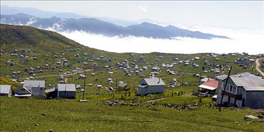 Gözleri yolda akılları yerleşik düzende