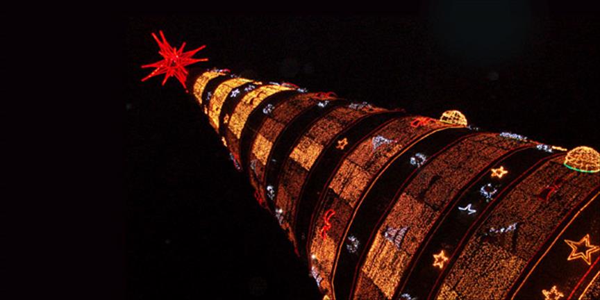 İki ülke arasında Noel ağacı krizi