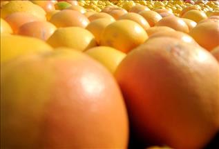 Kanser tedavisinin yan etkisini azaltabilir