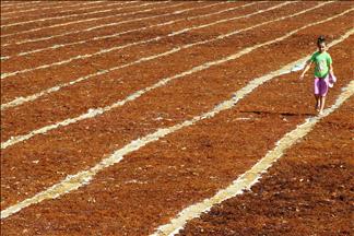 Kuru üzümde bereketli sezon 