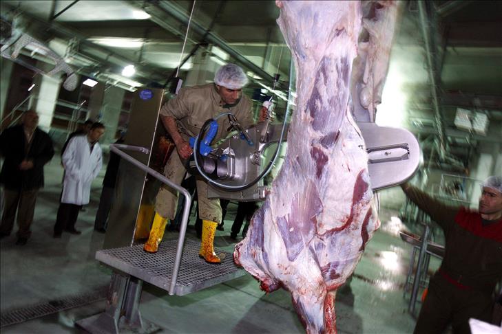 İstanbul Kurban Bayramı'na hazırlanıyor