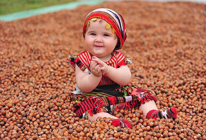 Fındık üreticilerine müjde