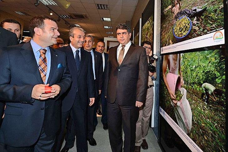 AA opens "Hard-gotten Hazelnuts" photo exhibition