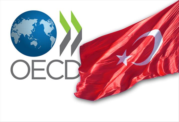 En çok Türkiye büyüdü