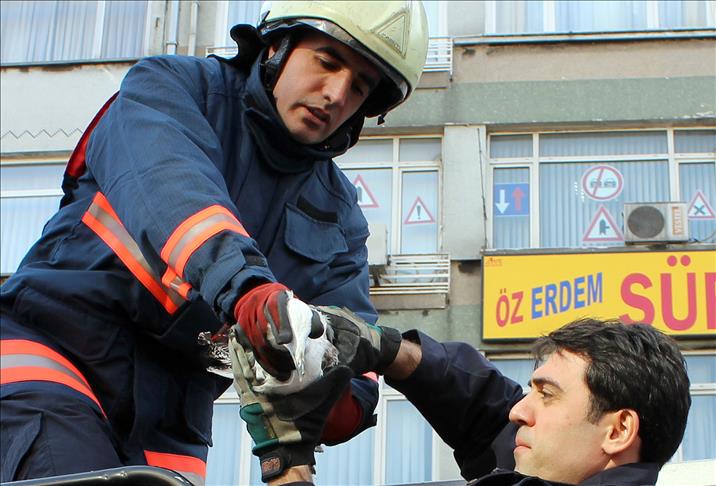 İtfaiyeden ''martı'' operasyonu