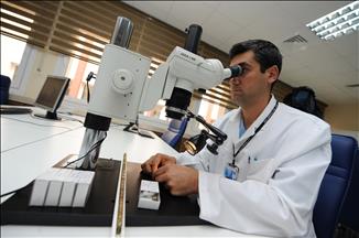 U Velikoj Britaniji pronađen fosil nove vrste organizma