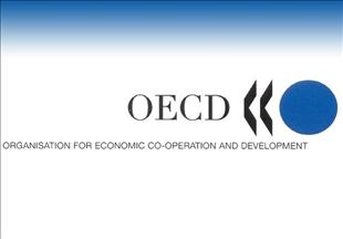 OECD says Turkish economy largest among OECD countries