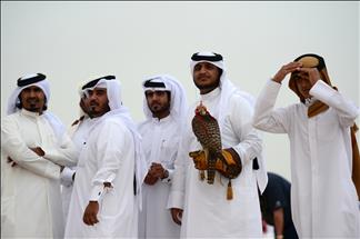 Bu festivalde şahinler yarışıyor