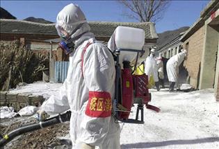 Вспышка птичьего гриппа в КНР