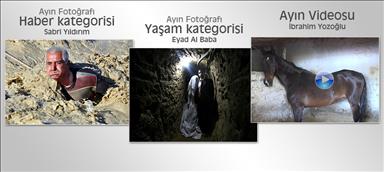 İşte ayın en iyileri