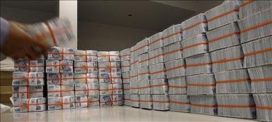 TL'nin uluslararası ödemelerdeki payı artıyor