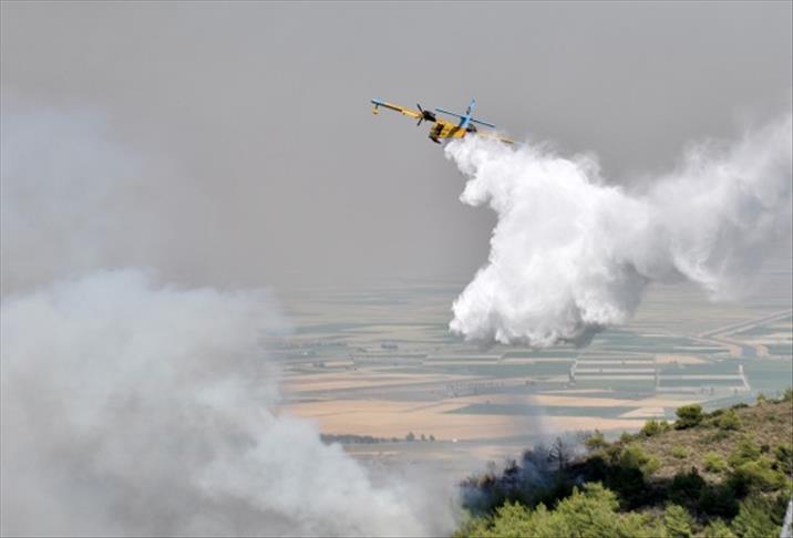 Пожар уничтожил 2 тыс. гектаров леса