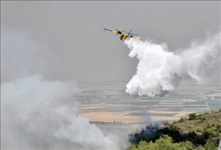 Пожар уничтожил 2 тыс. гектаров леса