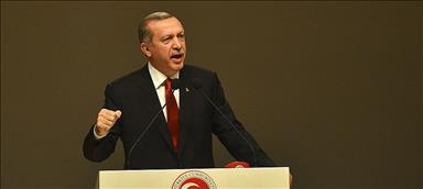 «Мы поддерживаем справедливую борьбу египтян»