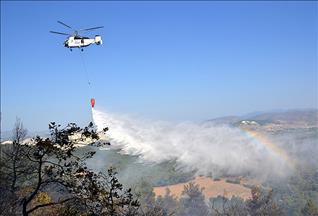 Antalya ve Çanakkale'de orman yangını