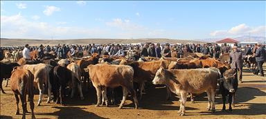 Agirî li benda hatiniyeke mezin e