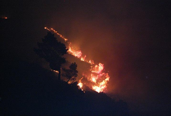 Лесной пожар в Мерсине