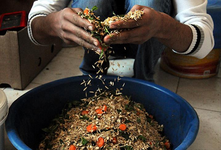 Şampiyon atlara özel menü