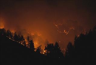 Лесные пожары в США