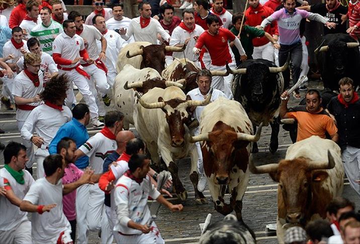 В испанской Памплоне состоялся забег быков
