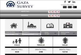 Запущен специальный сайт АА, посвященный Газе
