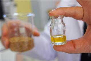 Omega-3 sigarayı bırakmaya yardımcı olabilir