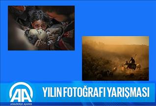 «Фотографии года» от АА