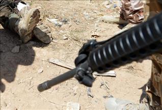 Une délégation irakienne demande aux Etats Unis des "armes de qualité"