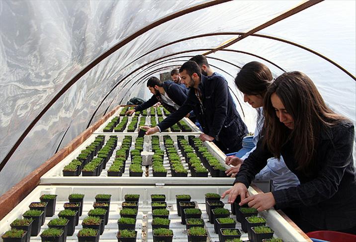 Saha zeminlerine "bilimsel" yaklaşım