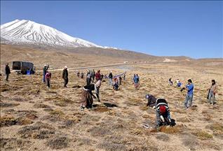 Avrupa'dan Türkiye'ye ağaçlandırma övgüsü