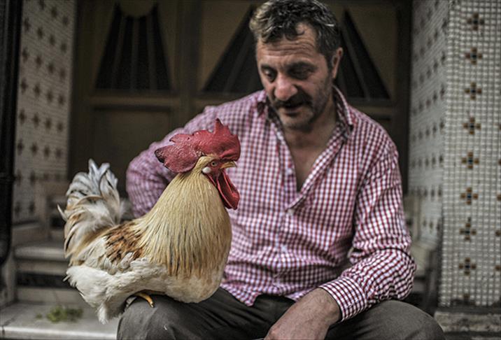 "Bu Behlül başka Behlül"