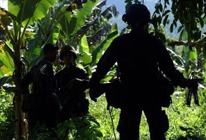 Abu Sayyaf beheads militiaman in Philippines: report