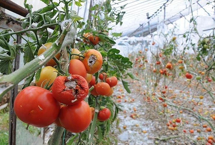 Tarıma 9 yılda 64 milyar liralık teminat