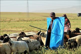 Bi 4 hezar lîreyan nikarin şivanan peyda bikin
