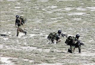 Началась скоординированная операция ВС Турции с воздуха и земли