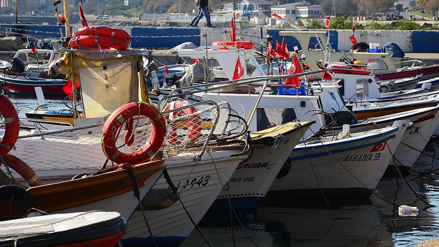 Limanlarda 'mavi kart' uygulaması başlıyor