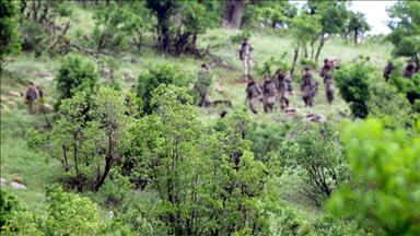 HDP aracılığıyla örgütün dağ kadrosuna eleman kazandırmış