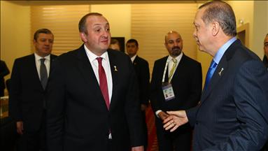 رئیس جمهور ترکیه با همتای گرجستانی خود دیدار کرد