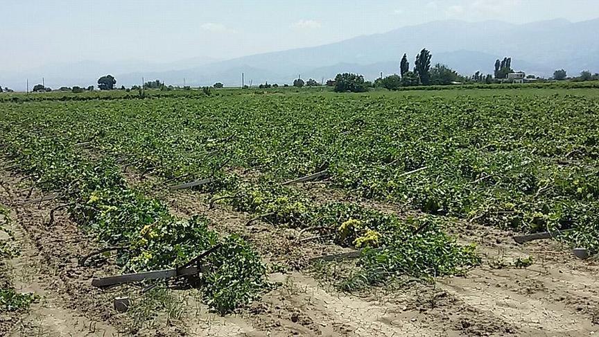 Fûarên GAP ÇANDINÎ û GAP FOODê di 4ê sibatê da vedibin