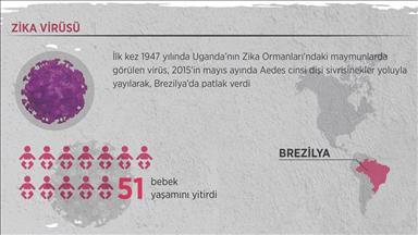 21. yüzyıl 'virüs çağı' oldu