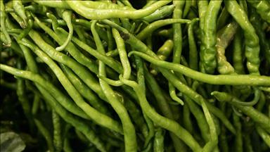 Ocak ayında İstanbul'da en fazla sivri biberin fiyatı arttı