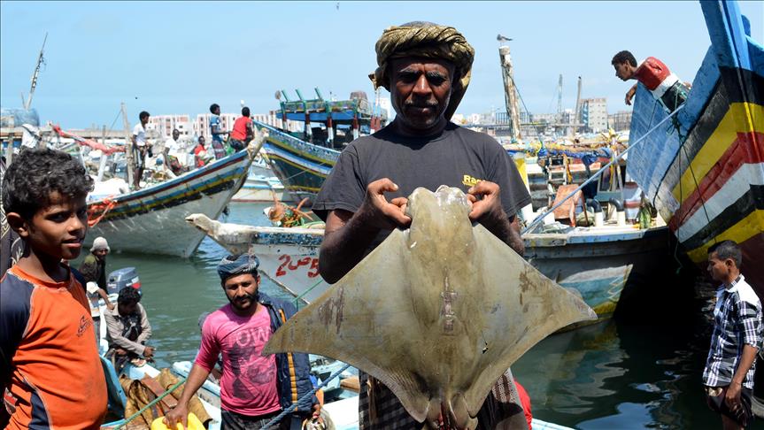 البطالة تفترس صيادي "الحديدة" اليمنية
