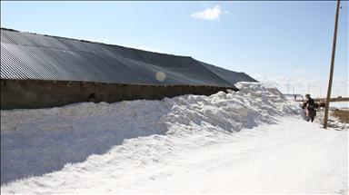 Li Yuksekovayê tewle û gom hê jî di bin berfê da ne