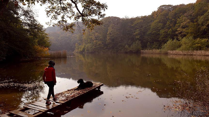'İstanbul'un yüzde 45'i orman'