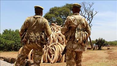 Chinese face Kenyan court over ivory smuggling claim