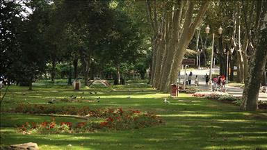 Two killed as wall collapses in Istanbul park