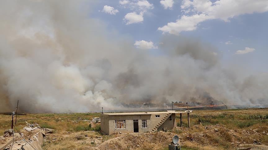 هلاکت 20 تروریست داعشی توسط نیروهای مسلح ترکیه