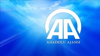 AA muhabirine ödül